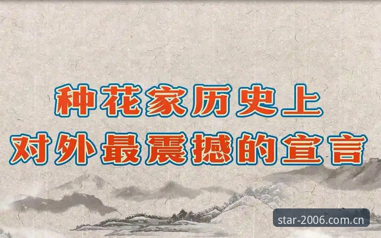 中国宣言v2.0升级修复安装教程：从卡顿到流畅的完整指南