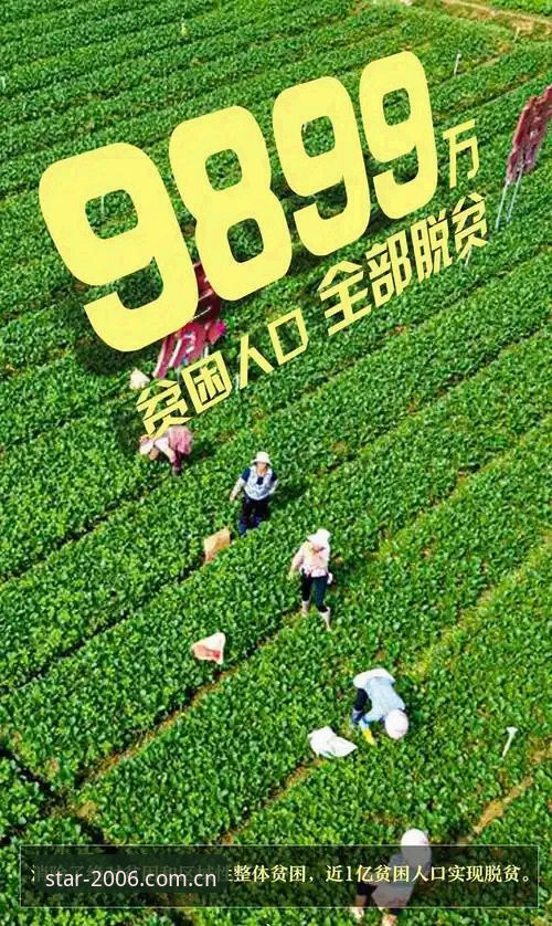 老用户亲测：中国宣言v2.0升级修复最新版使用心得，从旧版到新版的取舍方案